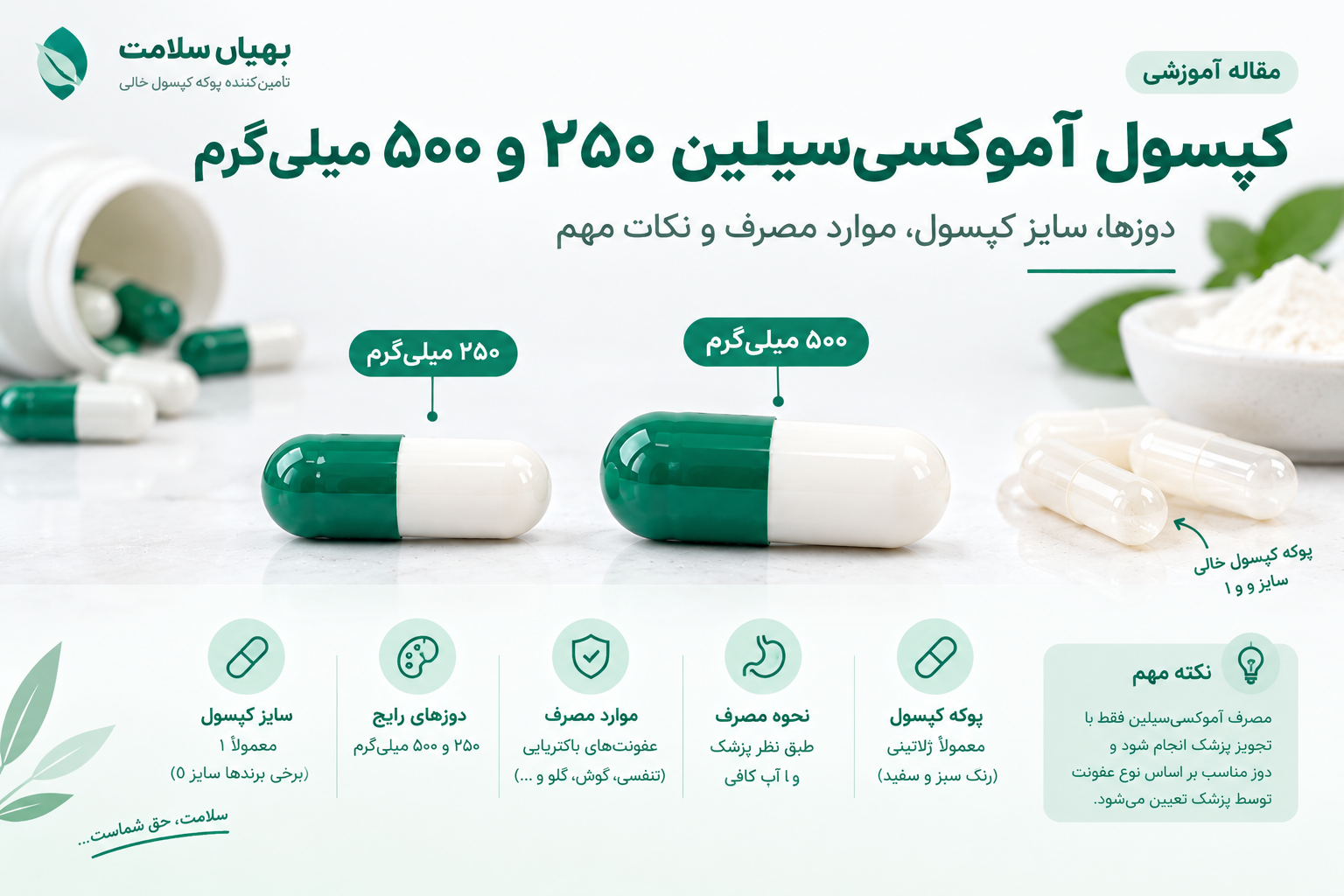 کپسول آموکسی‌سیلین ۲۵۰ و ۵۰۰؛ دوز، سایز کپسول و بررسی پوکه کپسول