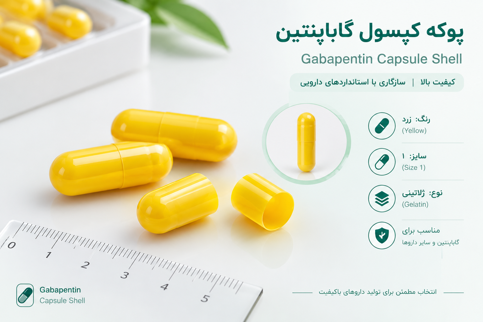 کپسول گاباپنتین ۳۰۰ چیست؟ بررسی کاربرد، شکل دارویی و پوکه کپسول